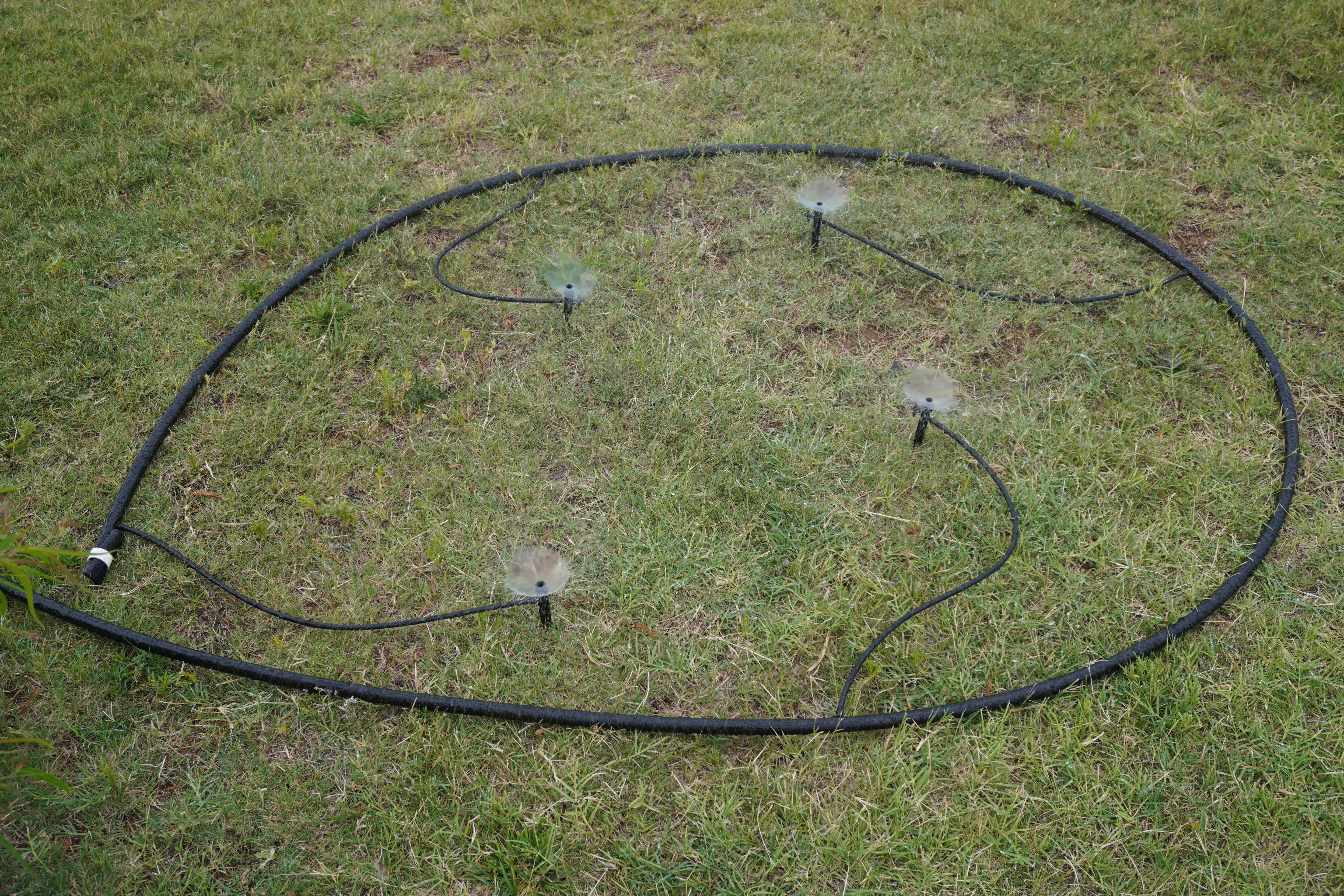 Hill Country Orchard Kit