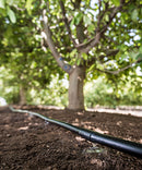 Hill Country Orchard Kit
