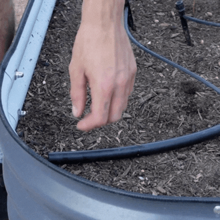 Untitleddesign_2.gif