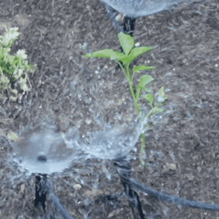 Untitleddesign_4.gif