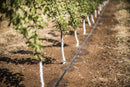 Hill Country Orchard Kit