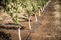 Hill Country Orchard Kit